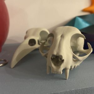 3D Printed Raven Skull and Cat Skull